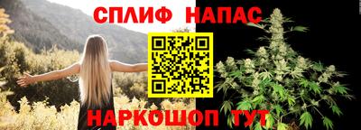 не бодяженный Гай
