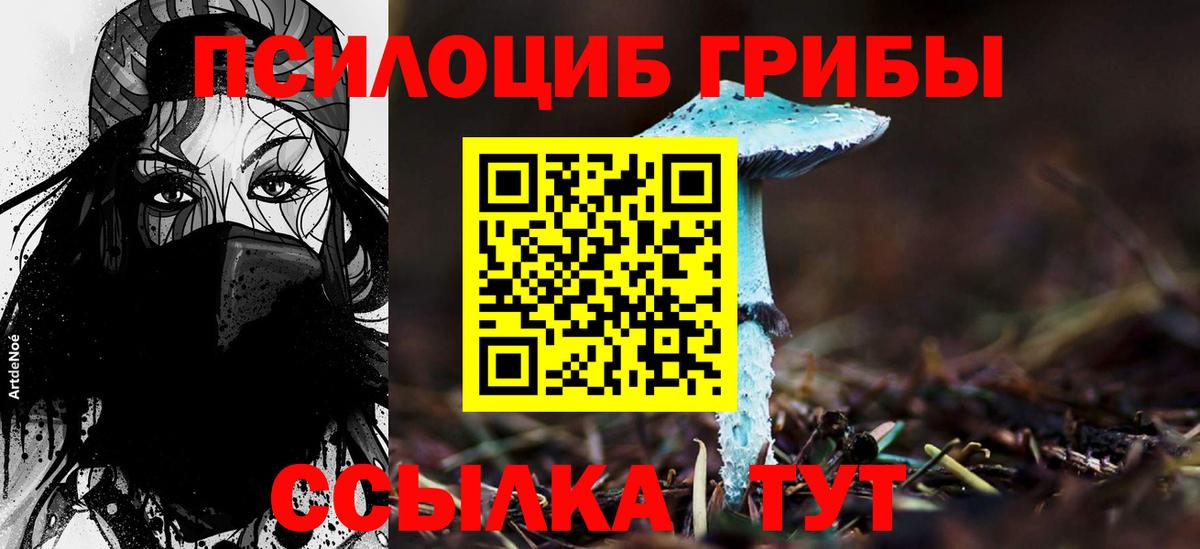 Галлюциногенные грибы ЛСД  Вход с VPN  Мыски  Галлюциногенные грибы Magic Shrooms 