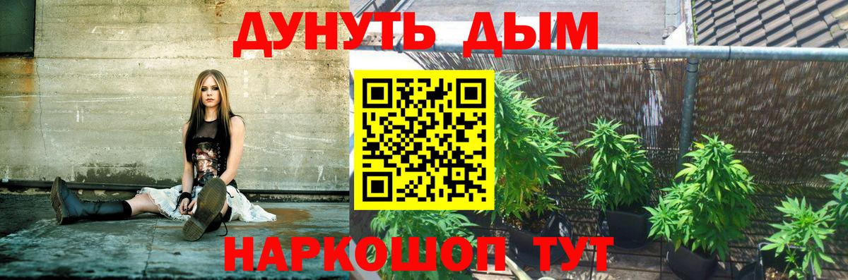 Каннабис тримм  МАРИХУАНА планчик  Бошки марихуана конопля  Бошки Шишки сатива  Мыски  Вход с VPN 